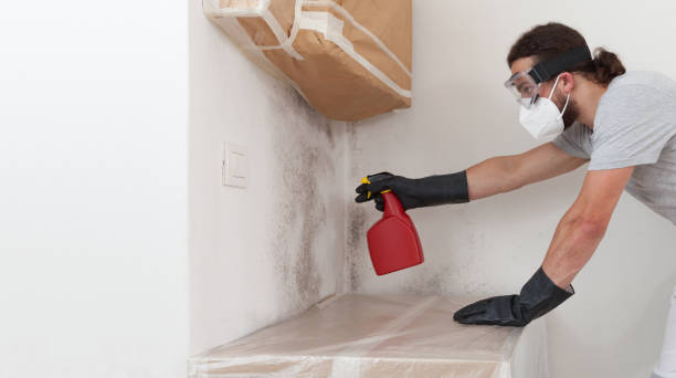 Professional Bathroom Mold Removal technician working in Boon, MI